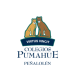 colegios Pumahue